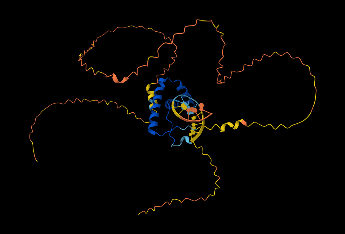 SOX2 DNA Anchor Validation